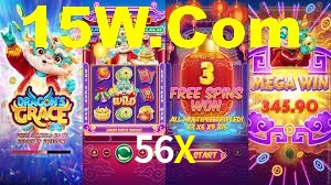Premium Interface 56X